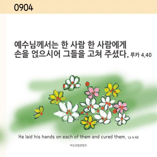 0904.png.jpg