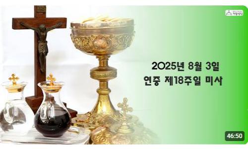 연중 제18주일(2025.8.3)