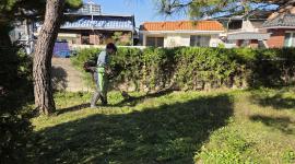 성당 환경정비(2025.11.2)