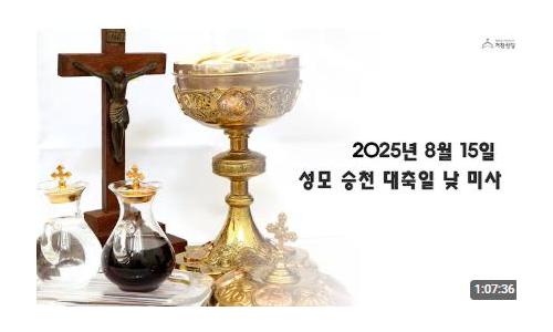성모 승천 대축일(2025...