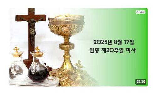 연중 제20주일(2025.8.17)