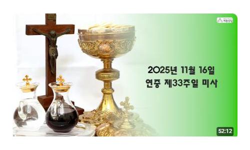 연중 제33주일(2025.11...