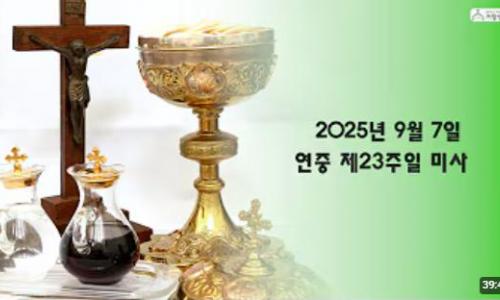 연중 제23주일(2025.9.7)