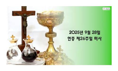 연중 제26주일(2025.9.28)