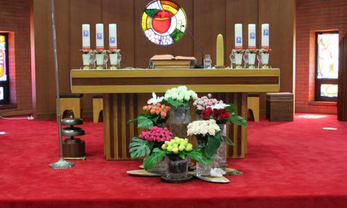 연중 제14주일(2025.7....