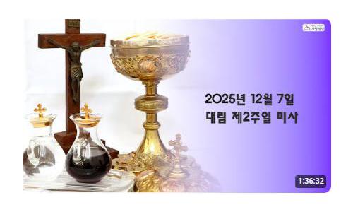 대림 제2주일(2025.12.7)
