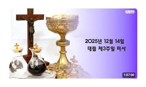 대림 제3주일(2025.12.14)