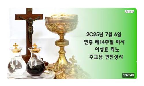 연중 제14주일(2025.7....