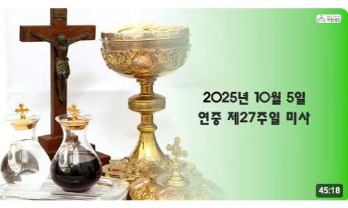 연중 제27주일(2025.10.5)