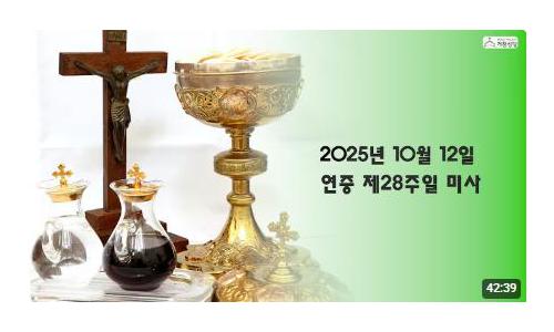 연중 제28주일(2025.10...