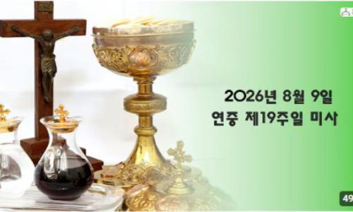 연중 제19주일 미사(20...