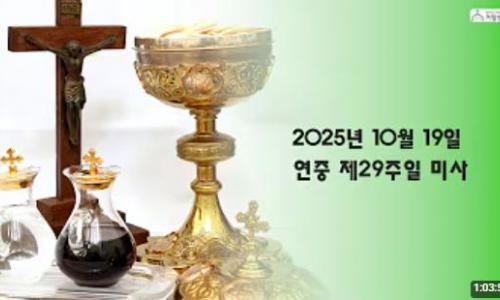 연중 제29주일(2025.10...